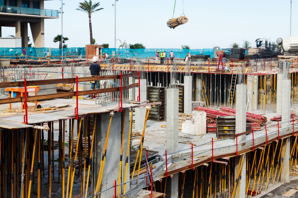 Project Construction: Design Meets the Reality of the Site